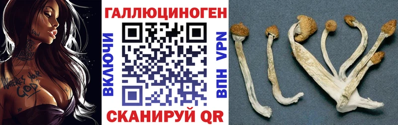 Псилоцибиновые грибы GOLDEN TEACHER Купить где Севск